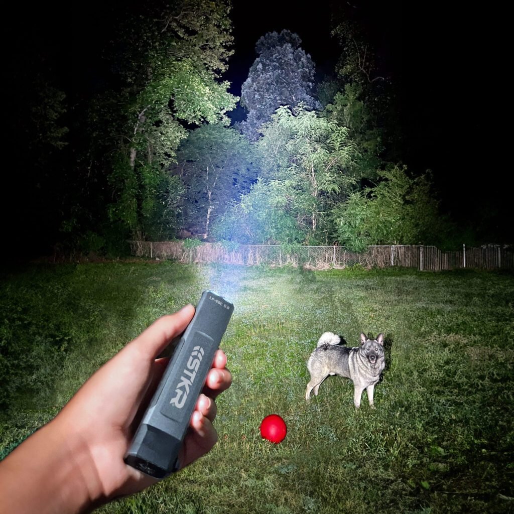 LP-EDC 5.0 Low Profile Thin Flashlight being used to light up the backyard with a dog